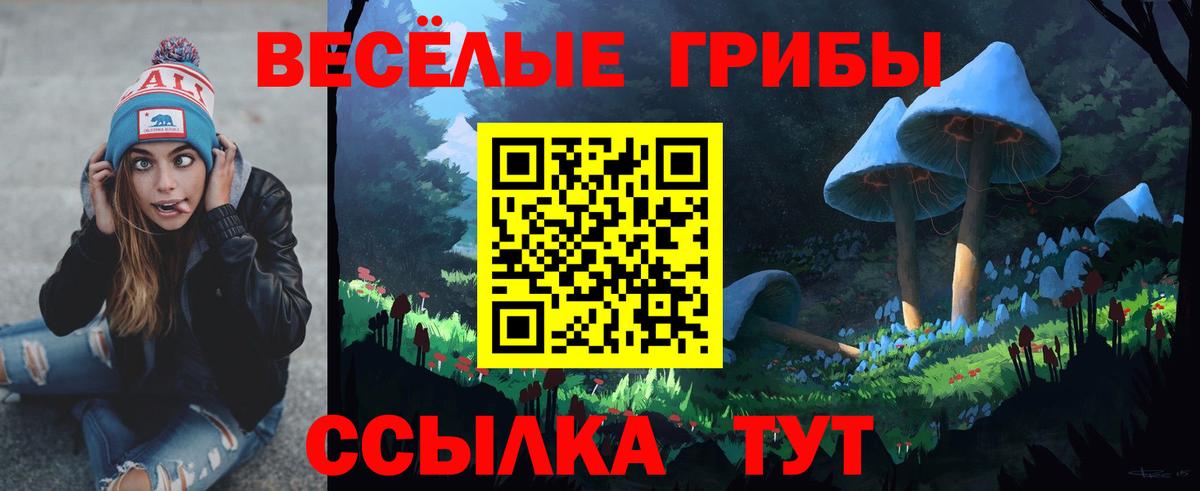 Семёнов  Псилоцибиновые грибы ЛСД  Вход с VPN  Псилоцибиновые грибы Psilocybe 
